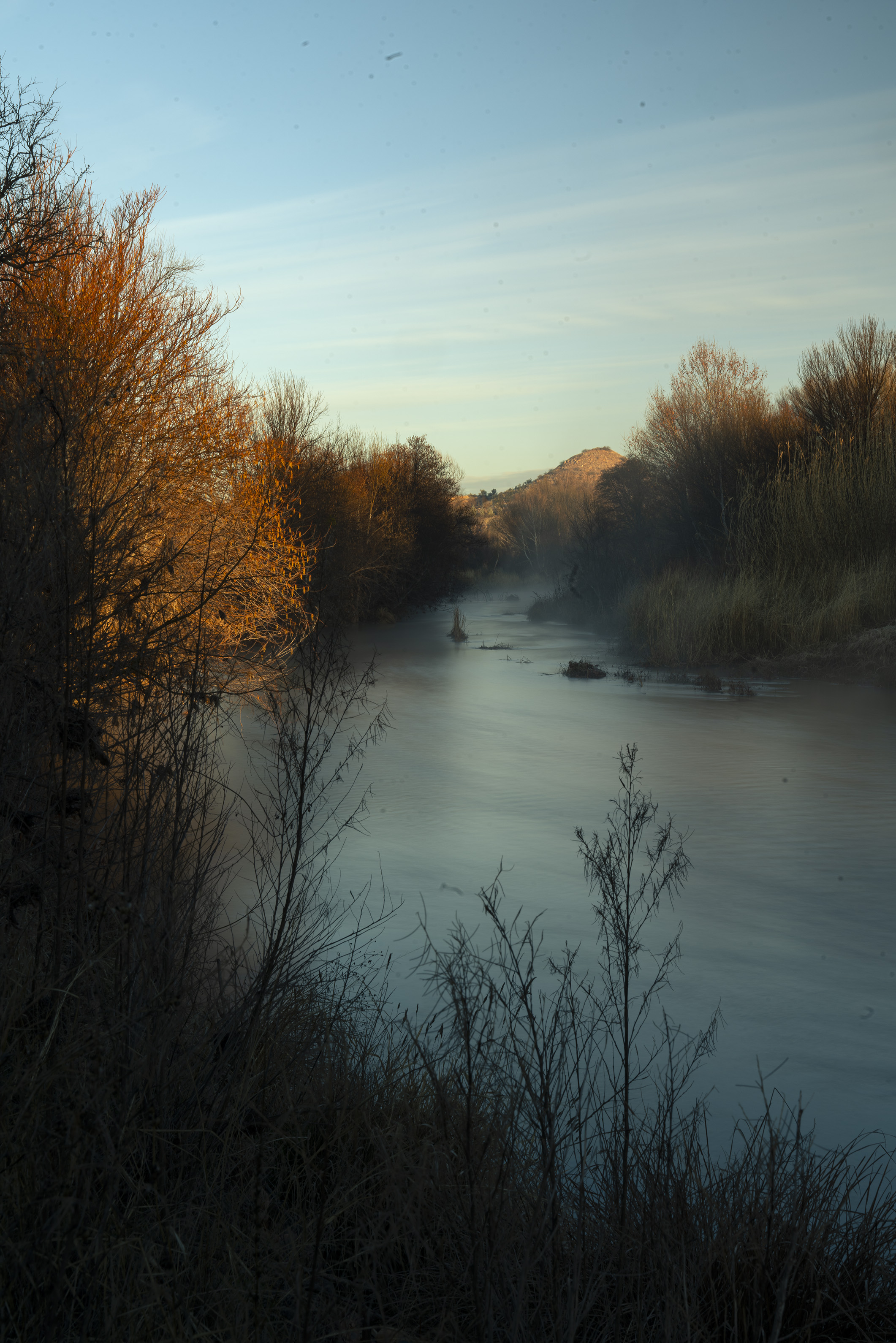 Misty morning on Oak Creek with golden cottonwoods